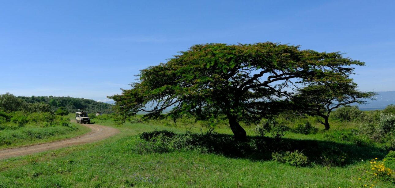 deluxetravelclub_kenia biuro podróży-21_2.jpg