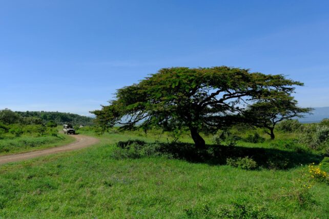 deluxetravelclub_kenia biuro podróży-21_2.jpg