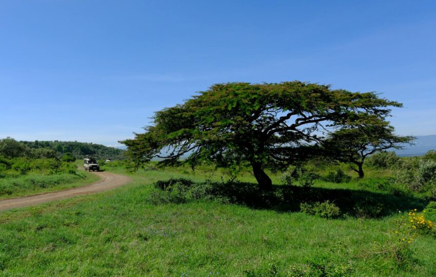 deluxetravelclub_kenia biuro podróży-21_2.jpg