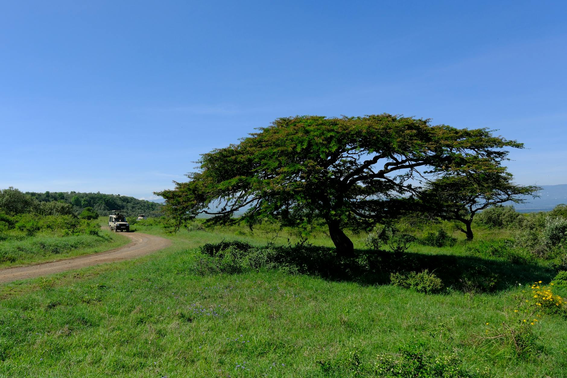 deluxetravelclub_kenia biuro podróży-21_2.jpg